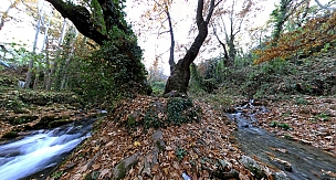 Ermenek Zeyve Pazarı