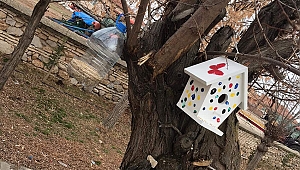 KMÜ ÖĞRENCİLERİ DOĞADAKİ HAYVANLARI UNUTMADI