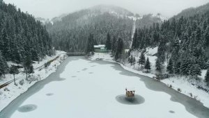 Galeri Doğa harikası Akgöl buz tuttu