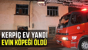 Kerpiç Ev Yandı Evin Köpeği Öldü