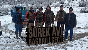Yaban Domuzu Sürek Avı Düzenlendi