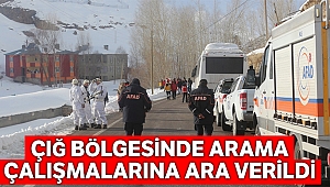 Çığ bölgesinde arama çalışmalarına ara verildi