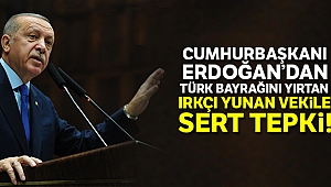 Cumhurbaşkanı Erdoğan’dan Türk bayrağını yırtan ırkçı Yunan milletvekiline tepki
