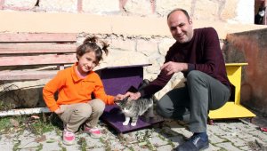 Her okula kedi evi