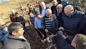 Karaman Çiftçisi Bağları Gezdi