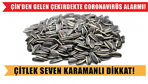 Karamanlıları Bu Haber Üzecek ! Çin’den gelen çekirdekte coronavirüs alarmı!