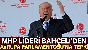 MHP'den Avrupa Parlamentosuna tepki