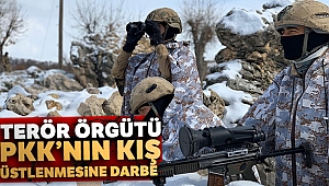 Terör örgütü PKK’nın kış üstlenmesine darbe