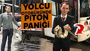 Yolcu otobüsünde valizden kaçan piton paniğe neden oldu
