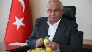 Başkan Tollu'dan 'limon tüketin' çağrısı