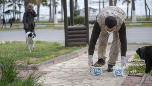 Mersin'de sokak hayvanları için birçok noktaya mama bırakılıyor