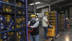 100 ton limon Mersin'den yola çıktı
