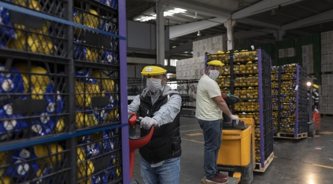 Ankara Büyükşehir Belediyesi de Mersin'den limon alacak