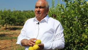 Başkan Tollu: