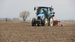 Çiftçiler tarlada havuç ekimi mesaisine başladı