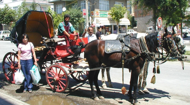KARAMAN'DA FAYTONLU SERVİS...