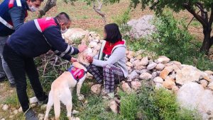 Kayıp kız çocuğu ormanlık alanda bulundu