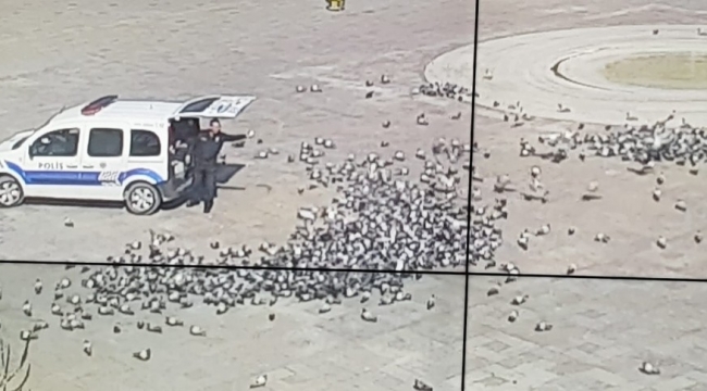 Konya'da aç kalan güvercinleri polis besledi