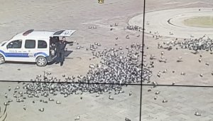 Konya'da aç kalan güvercinleri polis besledi
