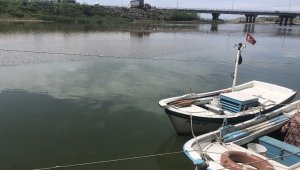 40 yıldır kirli çay, kendi kendine temizlendi