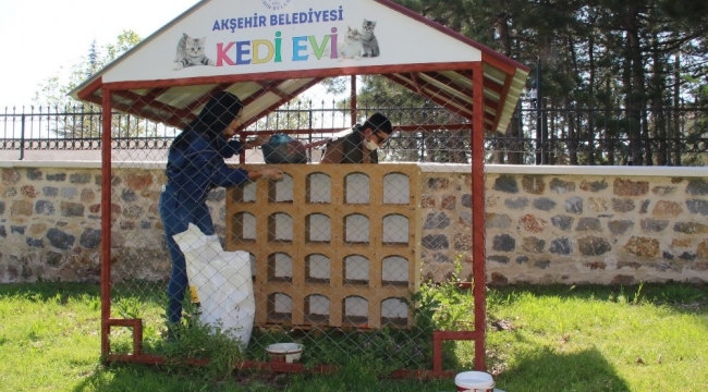 Akşehir'de sokak hayvanları unutulmuyor