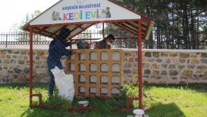 Akşehir'de sokak hayvanları unutulmuyor