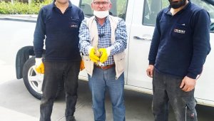 Arazide bulunan yaralı balaban kuşu tedavi altına alındı