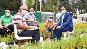 Başkan Yılmaz'dan annelere 100 bin kadife çiçeği