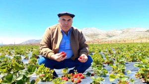 Bayram: