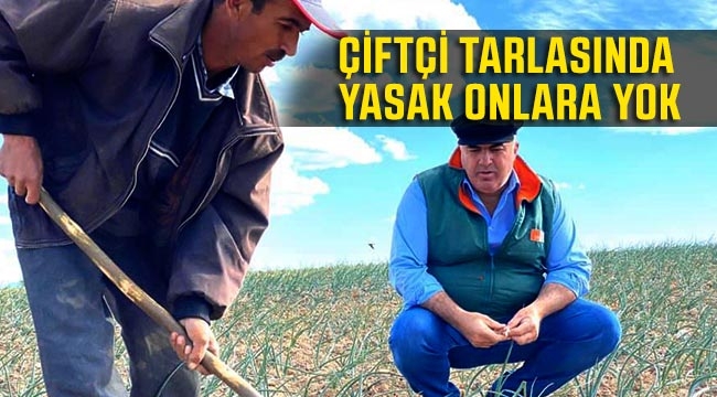Bayram Olmasına rağmen Tarlada Soğan Çapası Yapan Üreticilerine ziyaret
