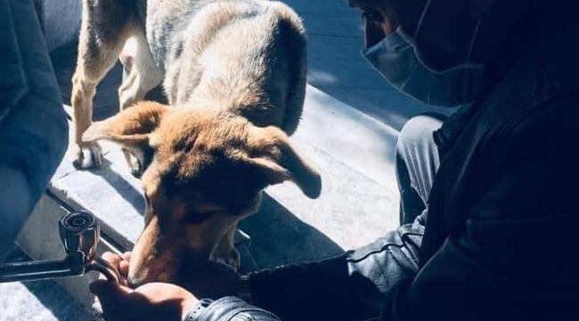 Belediye çalışanından duyarlı davranış