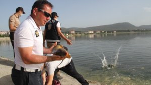 Beyşehir Gölüne balık taşıma mesaisi sürüyor