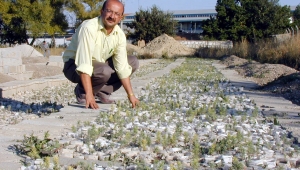 BİFA BİSKÜVİ'DEN AĞAÇLANDIRMAYA KATKI...