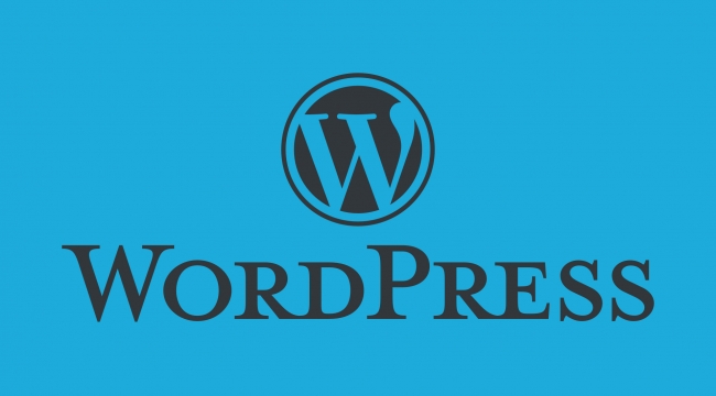 Güvenilir Wordpress Yardımı Almak