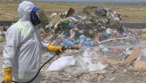 Karaman Belediyesinin haşere ve zararlı bitkilerle mücadelesi devam ediyor