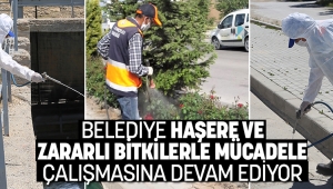 Karaman'da Haşere Mücadelesi Başladı