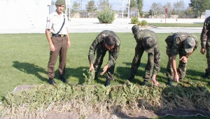 KARAMAN'DA HİNTKENEVİRİ OPERASYONU
