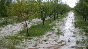 KARAMAN, DOLU VE SAĞANAK YAĞMURA TESLİM