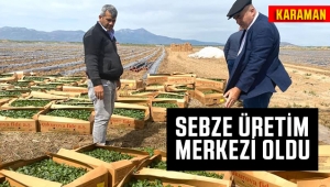 Karaman Sebze Üretim Merkezi Olacak