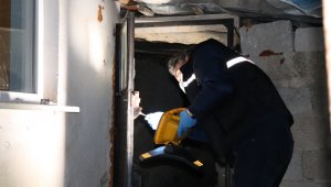 Karaman'da, hırsızlar girdikleri ağıldan 4 kuzuyu çaldı