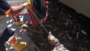 Karaman'da kanala düşen köpeği itfaiye kurtardı