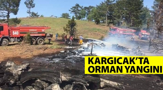 Kargıcakta Orman Yangını Kontrol Altına Alındı