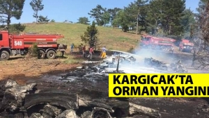 Kargıcakta Orman Yangını Kontrol Altına Alındı