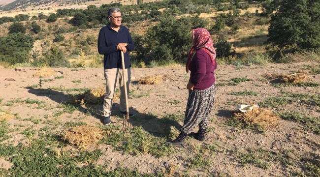 KONUK: TARIM SEKTÖRÜ, EKONOMİNİN SIFIR MALİYETLİ KAYNAK BİRİKTİRMESİNİ SAĞLAR