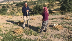 KONUK: TARIM SEKTÖRÜ, EKONOMİNİN SIFIR MALİYETLİ KAYNAK BİRİKTİRMESİNİ SAĞLAR