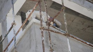 Köpek inşaat halindeki binanın 6'ıncı katına çıkınca