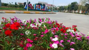 Mersin, yaz çiçekleriyle renklendi