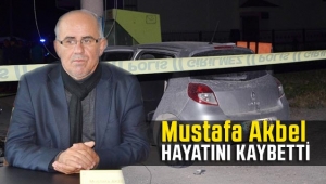 Otomobil elektrik direğine çarptı, iş adamı hayatını kaybetti