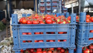 Sebze arzı patladı, fiyatlar halde dip yaptı, markette fırladı