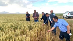 AK Parti Karaman Milletvekili Eser, dolu hasarını yerinde inceledi
